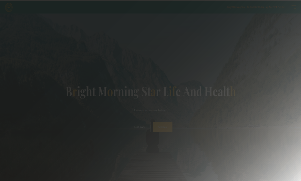 responsive website Wordpress development for medical company